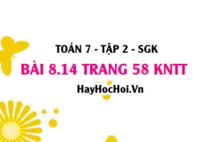 Bài 8.14 trang 58 Toán 7 Tập 2 Kết nối tri thức: Tính xác suất rút thẻ
